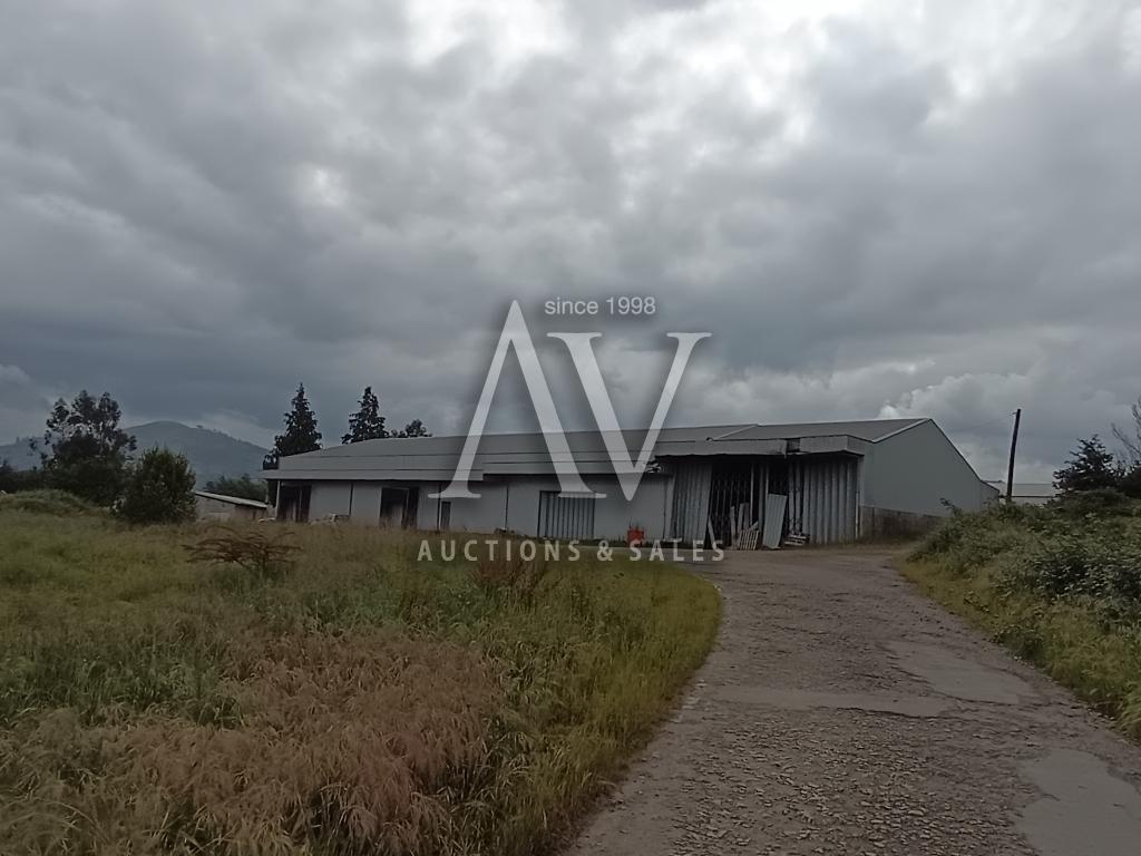 Bracar - Indústria e Comércio Alimentar, S.A. - Verba 1