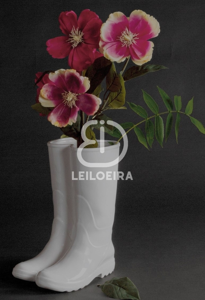 Botas - Lote 77