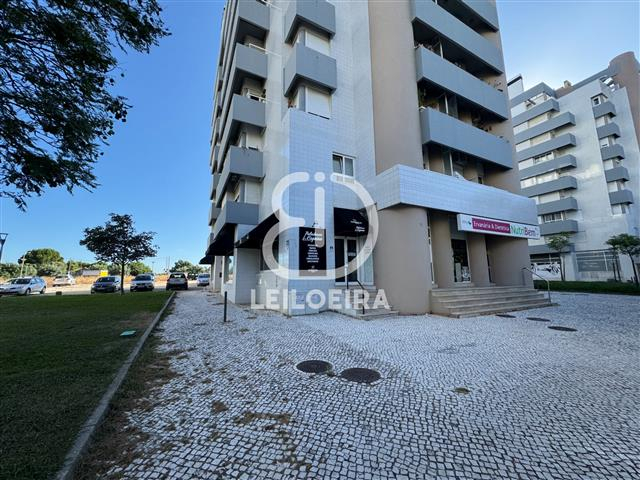 Pitada Fantástica, Unipessoal, Lda.
