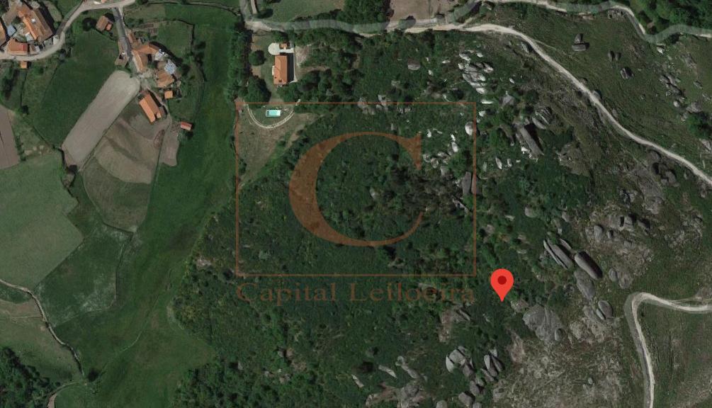 TERRENO 12.700 m2 | CABECEIRAS DE BASTOS
