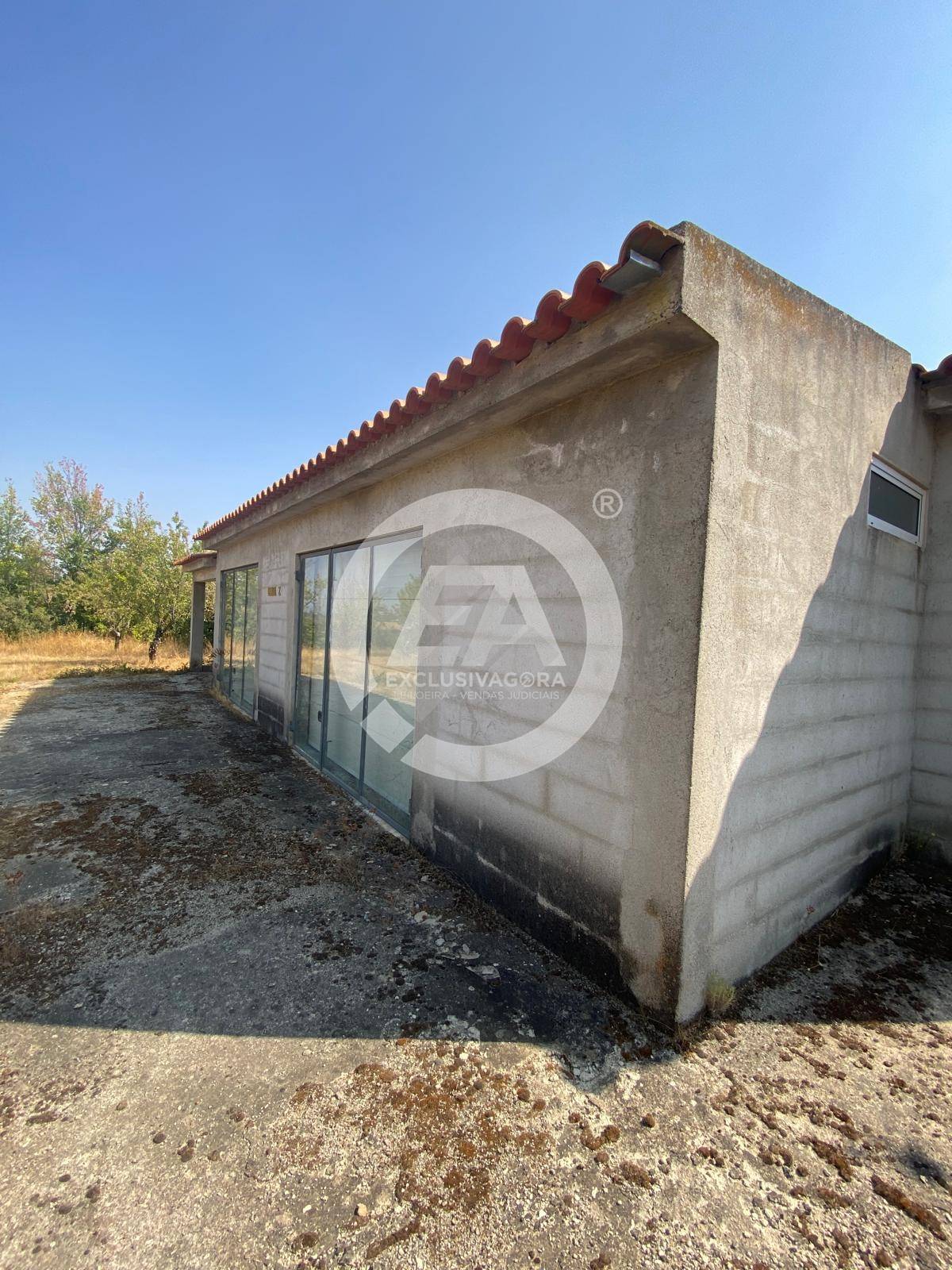 Fotografia de imóvel: Terreno rústico de 11.030 m2 com armazém, oliveiras e vinha