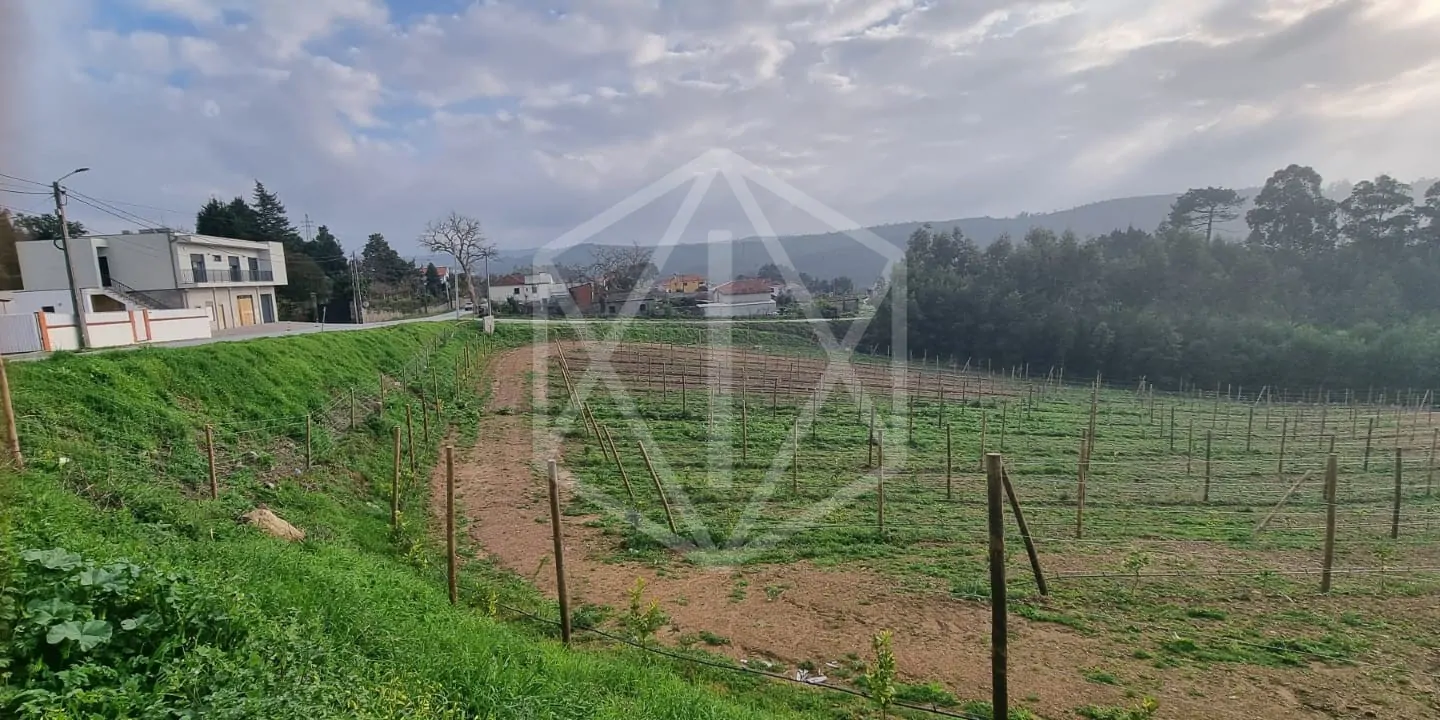 Fotografia de imóvel: Terreno com Produção Agrícola de Limões em Paredes, Porto