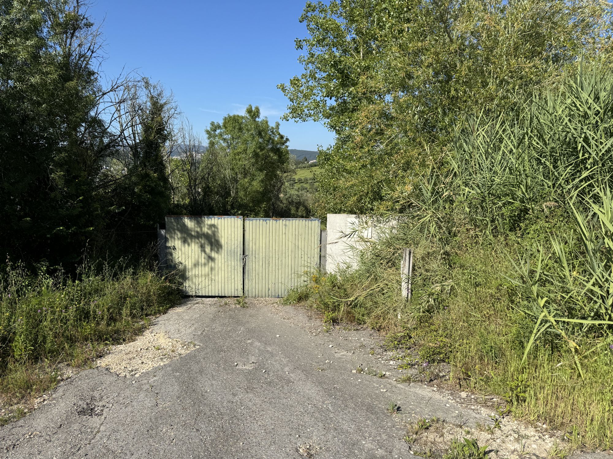 PRÉDIO URBANO - TERRENO DE CONSTRUÇÃO COM 3.000 m2 COPEIRA | CASA DESTINADA A ARRUMAÇÕES, COM ÁREA COBERTA DE 420 M2 E 13.700 M2 DE LOGRADOURO | ½ PRÉDIO URBANO - TERRENO DE CONSTRUÇÃO COM 7.500 m2 - COPEIRA