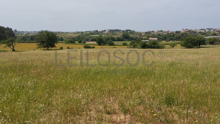 Fotografia de imóvel: Terreno · Seia