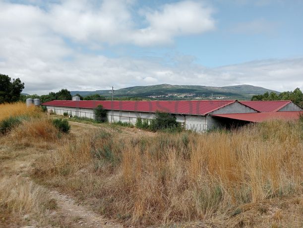 Fotografia de imóvel: Proporção de 17/20 de Pavilhões para Produção Animal · Terrenos · Vila Pouca de Aguiar