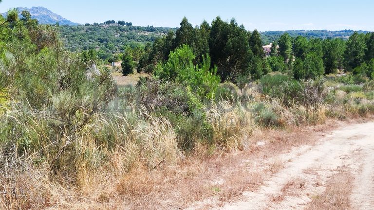 Fotografia de imóvel: Terreno com 2,6 hectares · Penamacor, Castelo Branco