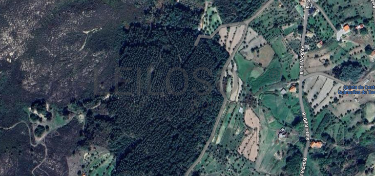 Fotografia de imóvel: Terreno com 8.750 m² · Mangualde