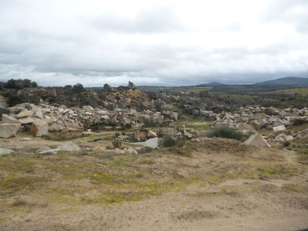 Terreno com +4 hectares · Figueira de Castelo Rodrigo