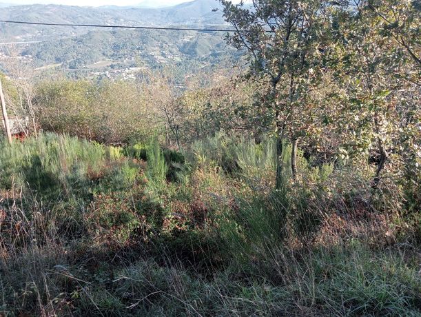 Fotografia de imóvel: Terrenos e Meações de Terrenos · Carvalho de Rei, Amarante