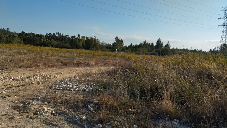 Fotografia de imóvel: Proporção 1/3 de Terreno · Asseiceira, Tomar