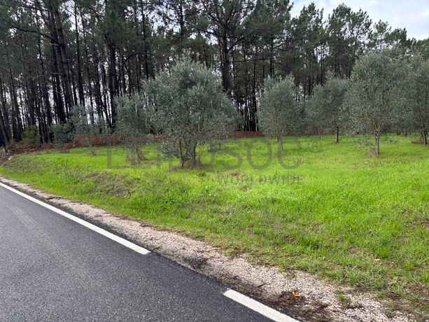 Fotografia de imóvel: Terreno para Construção · Carriço, Pombal
