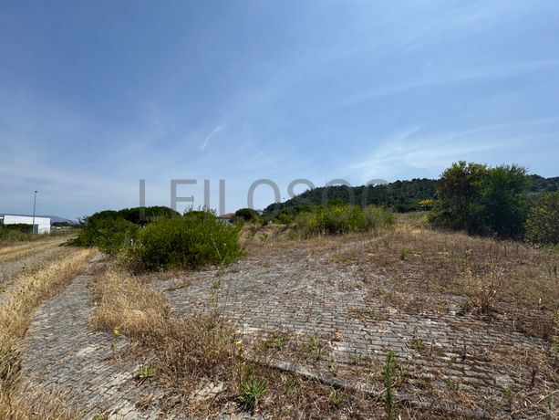 Fotografia de : Proporção de 1/4 de Terrenos para Construção · Darque, Viana do Castelo