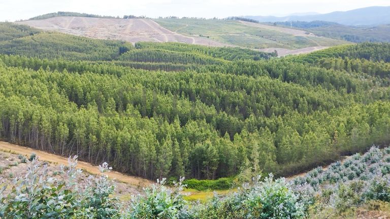 Fotografia de imóvel: Proporção de 1/3 de Terreno · São Vicente da Beira, Castelo Branco