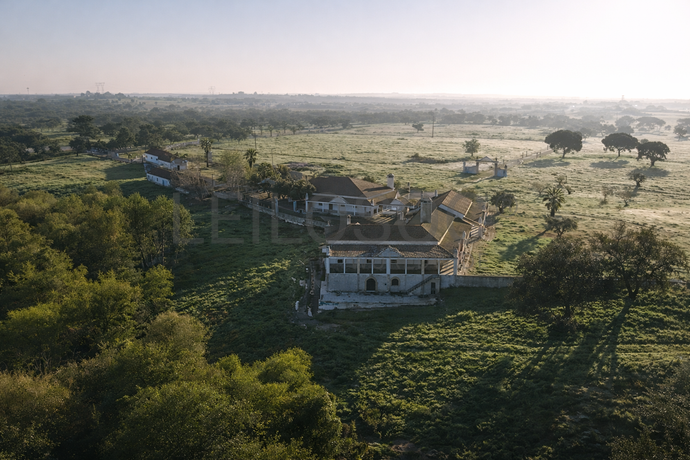 Fotografia de : Herdade com + 47 hectares · Palmela