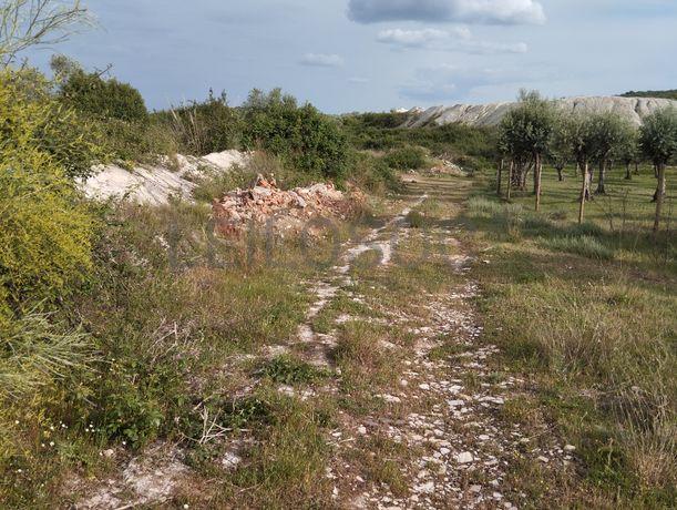 Terrenos Rústicos · Vila Viçosa, Évora