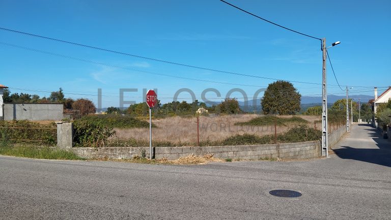 Fotografia de imóvel: Terreno com +1,5 Hectares · São João de Areias, Santa Comba Dão