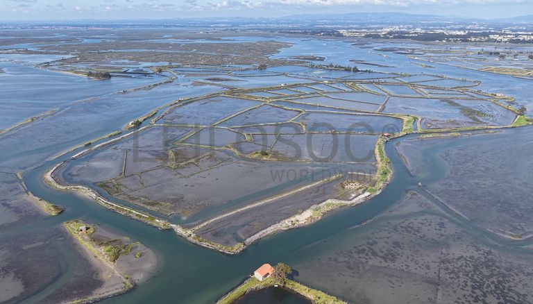 Fotografia de imóvel: Ilha dos Puxadoiros · Ria de Aveiro