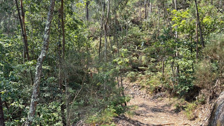 Quinhão Hereditário · Rossas, Arouca