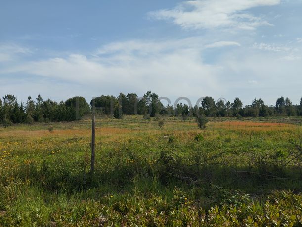 Proporção de Terreno com 23 Hectares · Quinta do Anjo, Palmela