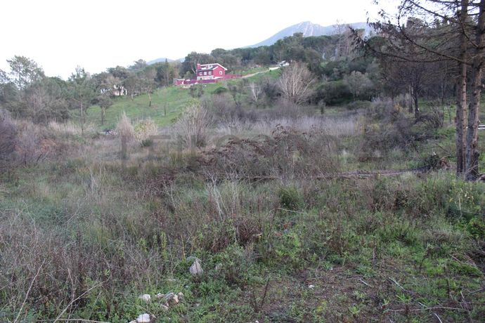 Terreno · São Lourenço, Setúbal