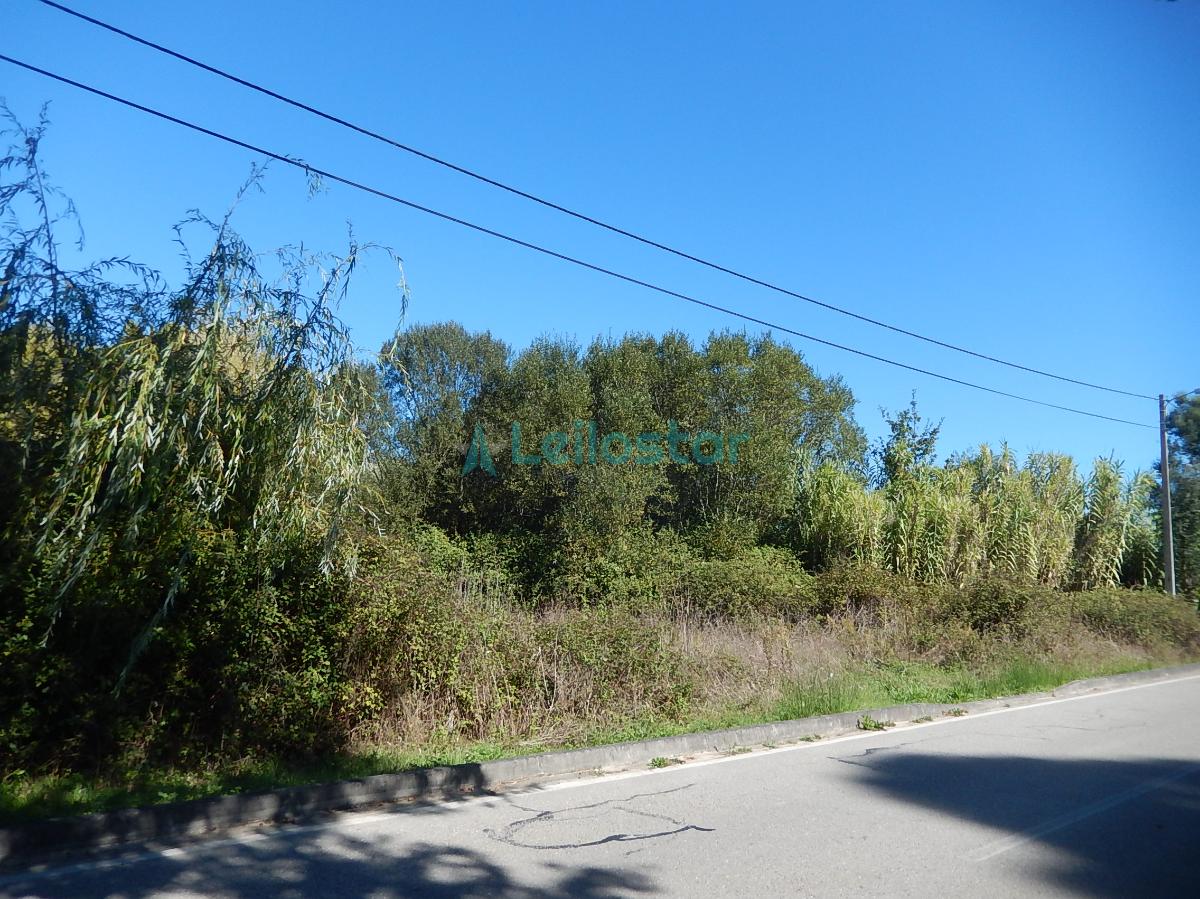 Fotografia de imóvel: Venda Conjunta de 3 Terrenos- Miranda do Corvo