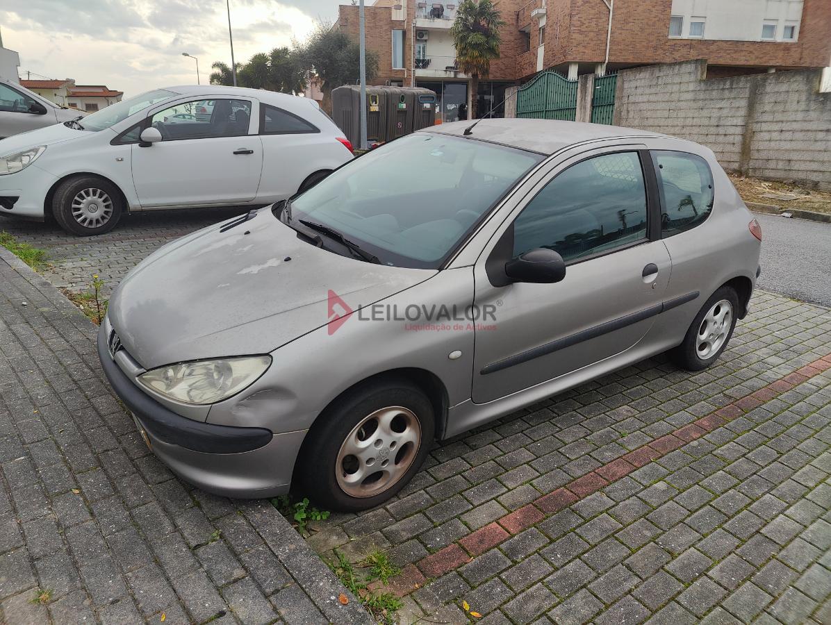Fotografia de documento: PEUGEOT 206