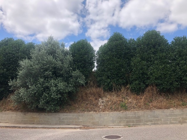Herança em Loures