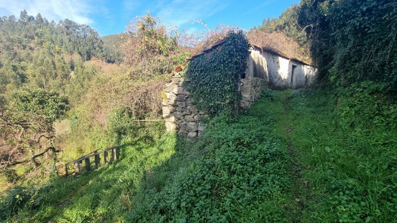 Fotografia de imóvel: Moradia (p/ recuperação) c/ rústico - (c/4.250,00m²) – Valadares / S. Pedro do Sul