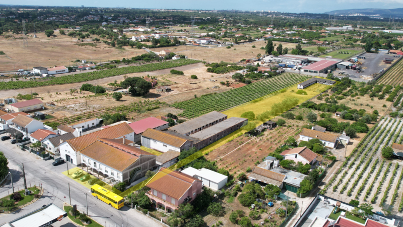 Fotografia de imóvel: Quinta - (c/ área total de 6.875,00m²) - Palmela
