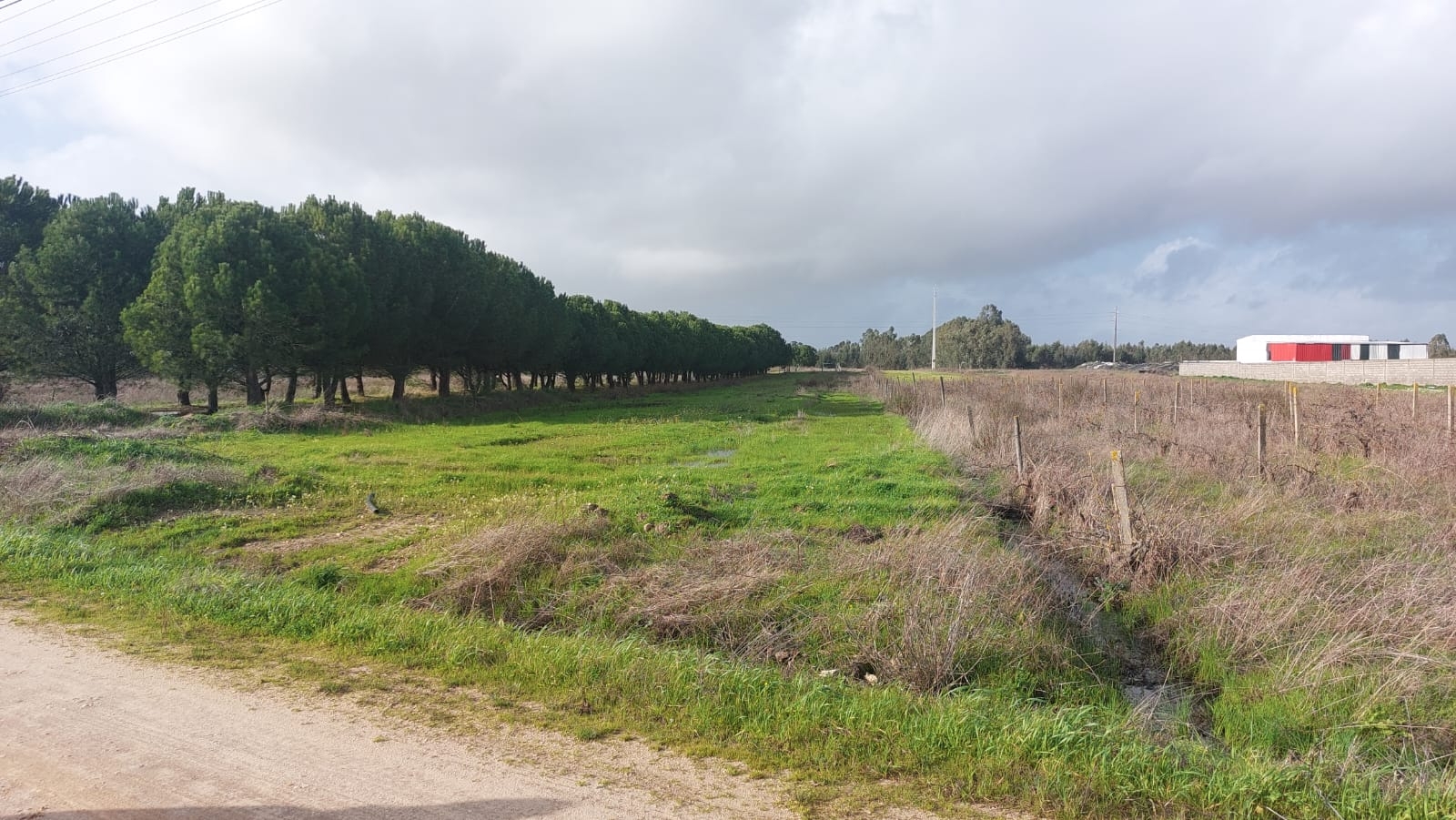 PRÉDIO RÚSTICO - 7.200 m2 | Salvaterra de Magos (Marinhais)