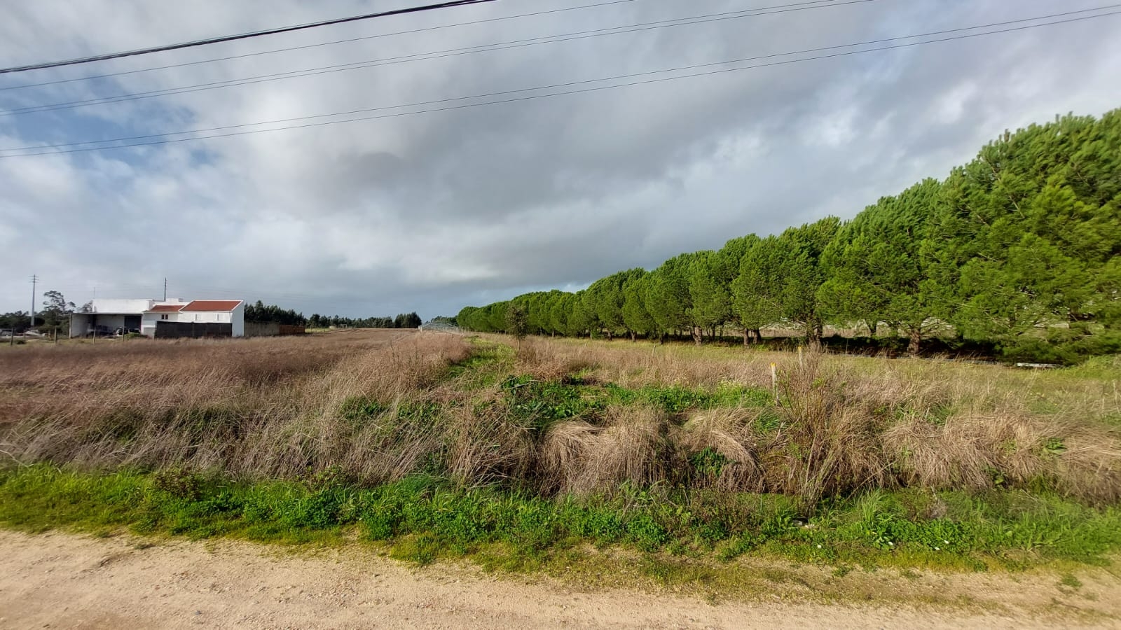 PRÉDIO RÚSTICO - 7.640 m2 | Salvaterra de Magos (Marinhais)