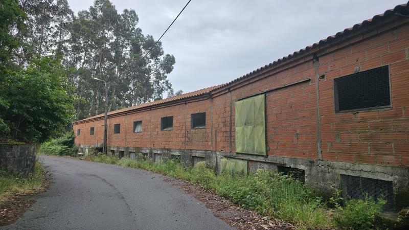 PAVILHÃO/AVIÁRIO (1/2) | Sever do Vouga (Cedrim)