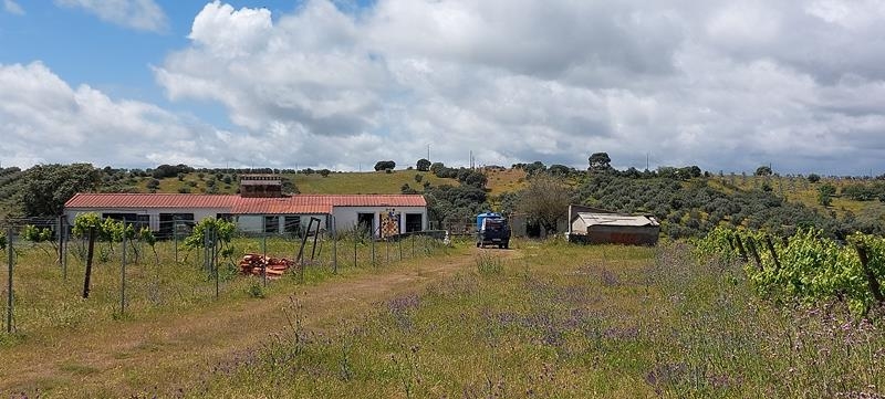 V1: Prédio Misto | Fronteira (Área: 3,425 HA)