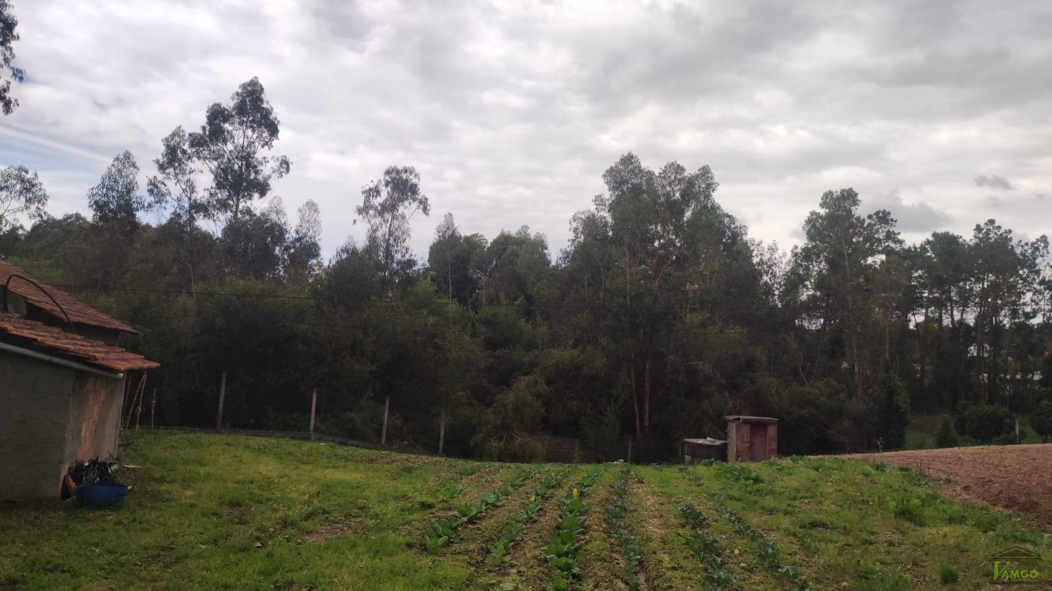 Fotografia de imóvel: 1?2 de Prédio rústico composto por terra de pinhal e mato, com 8400m2, descrito na 2.a Conservatória do... (Lote 5)