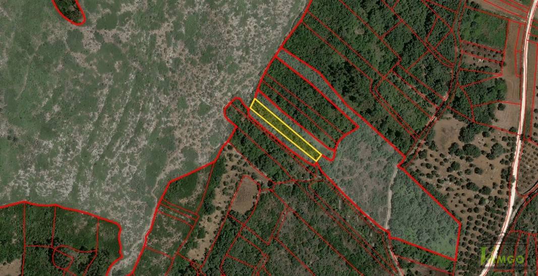 Prédio rústico composto por cultura arvense, oliveiras e mato, com área total de 480m2, sito em Relva dos... (Lote 4)