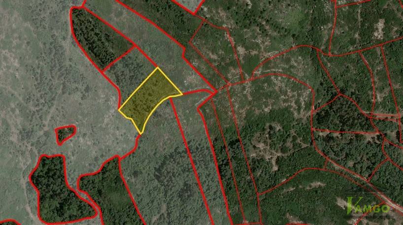 Prédio rústico composto por mato, com área total de 1.400m2, sito em Vale Grande, na união das freguesias de... (Lote 5)