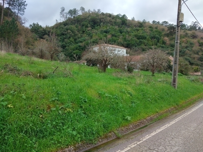 Fotografia de imóvel: Prédio Rústico sito em Piedade, União das Freguesias de Alcobaça e Vestiaria, concelho de Alcobaça, composto... (Lote 2)