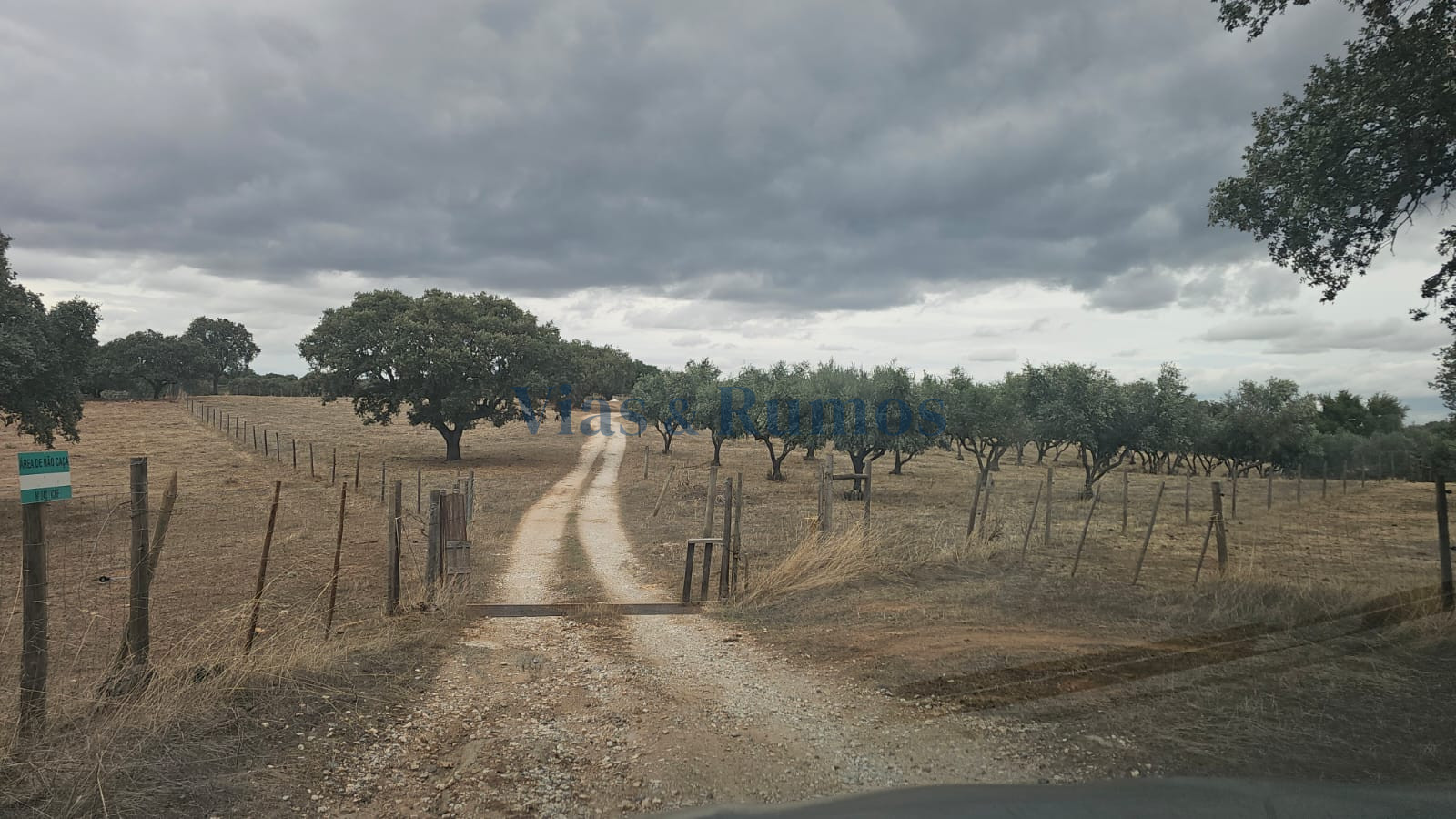 Herdade c/ 117.775m²