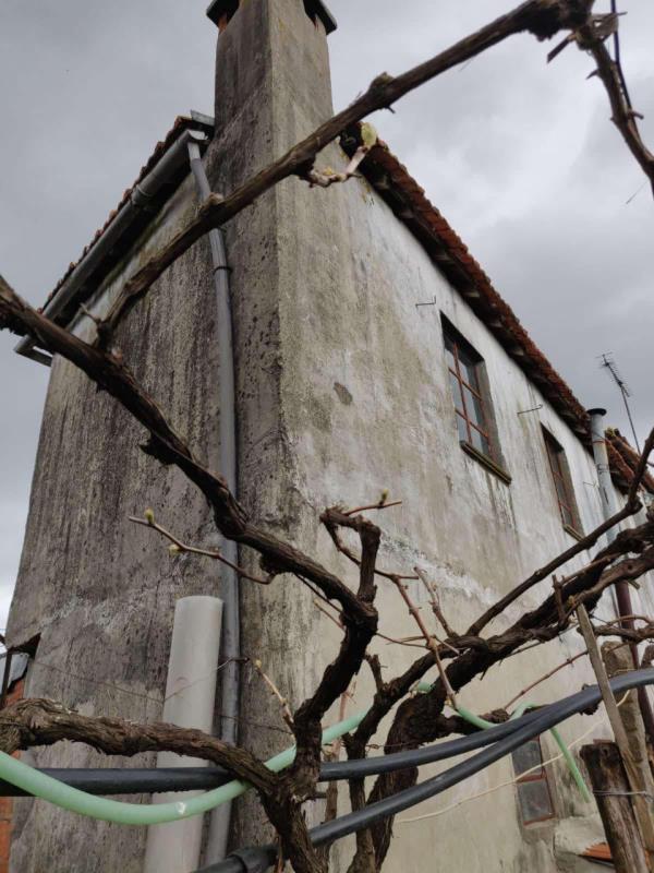 Fotografia de imóvel: Três imóveis em oliveira de frades