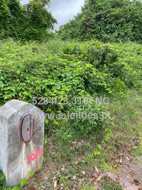 Fotografia de imóvel: Lote p/ Construção- Rua Velha Ajuda- São Martinho