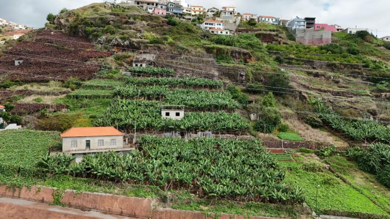 Fotografia de imóvel: Moradia + terreno + armazéns agrícolas + tanques de rega