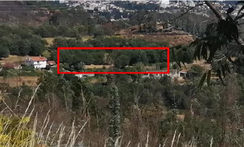Fotografia de imóvel: PROPRIEDADE RÚSTICA COM 3 HECTARES , QUINTA DAS BOUÇAS - MARCO DE CANAVESES