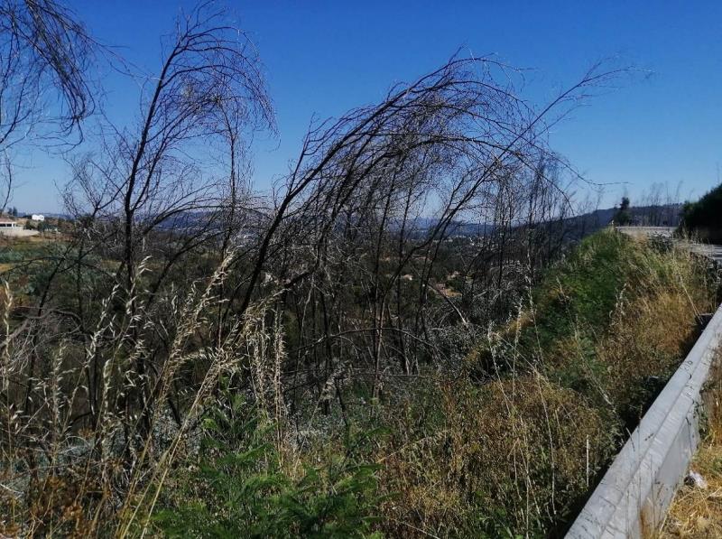 Fotografia de imóvel: PROPRIEDADE RÚSTICA COM 16 HECTARES - MAGÃES, MARCO DE CANAVESES