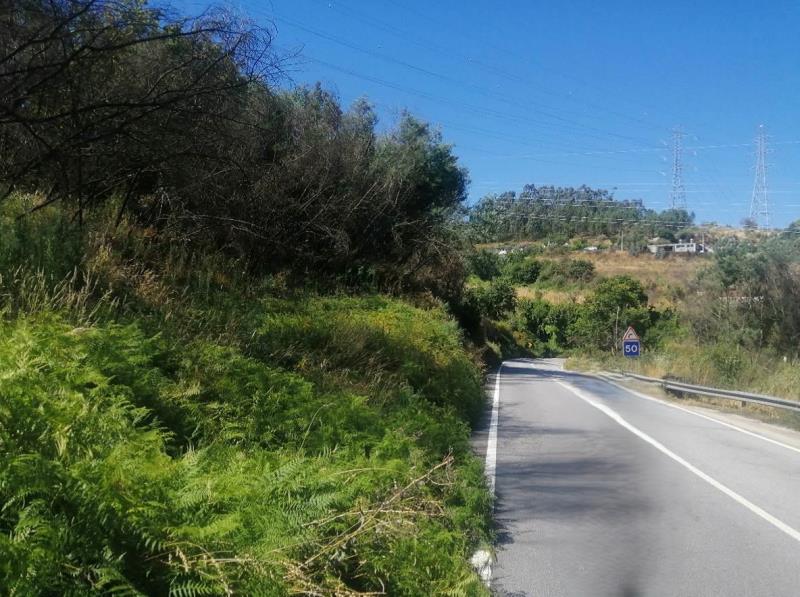 Fotografia de imóvel: PARCELA DE TERRENO COM PINHAL E MATO - CARRIL, MAGÃES - MARCO DE CANAVESES
