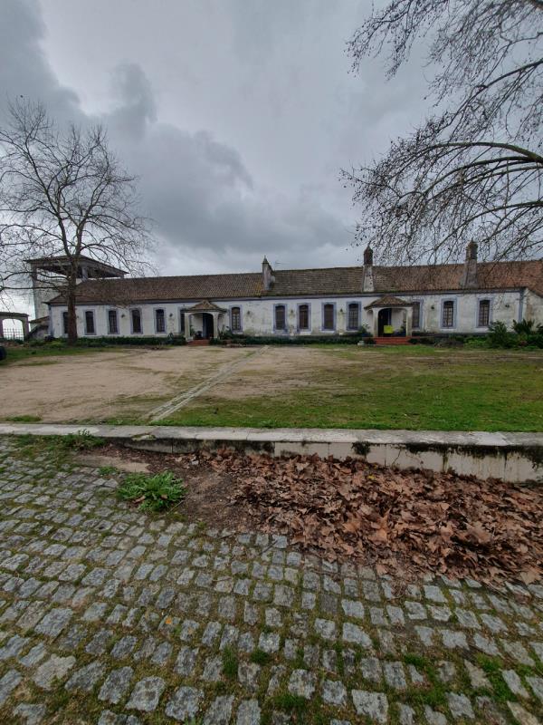 Fotografia de imóvel: Herdade em Montemor-o-Novo