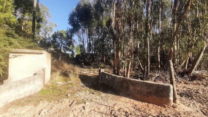 Fotografia de imóvel: Lote de terreno para construção no Pinhal do General, Fernão Ferro