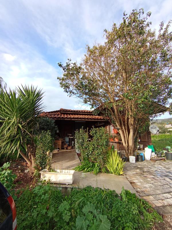 Fotografia de imóvel: Casa de Madeira em Aljubarrota