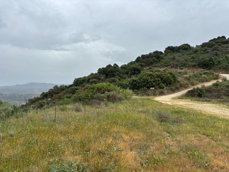 Fotografia de imóvel: Prédio sito na Quinta do Douro
