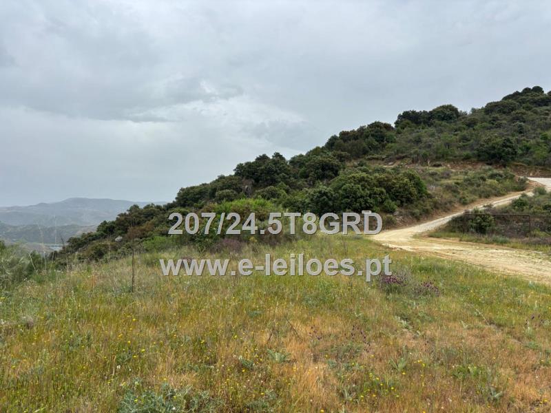 Prédio sito na Quinta do Douro