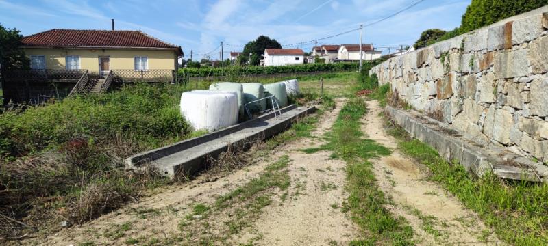 Fotografia de mobiliário: Lote de Alfaias Agrícolas